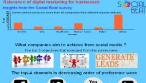 Social Beat Digital Marketing Survey Report 2013