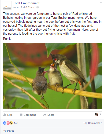 Total Environment-fb