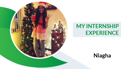 My Internship Experience – Niagha